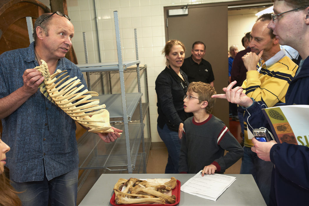 Members’ Night in the Mammals prep lab, 2011. Field Museum photo by John Weinstein. GN91516_113d