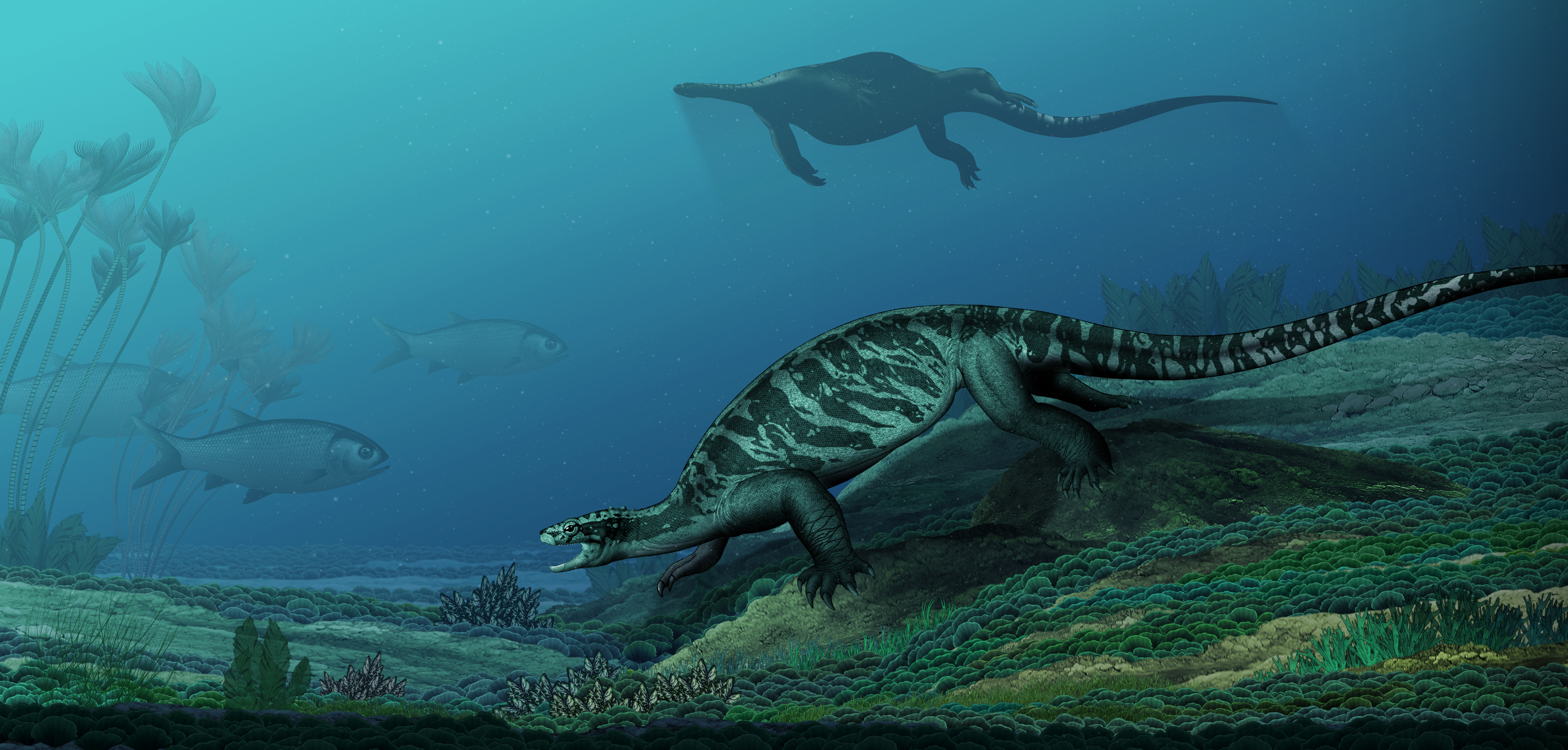 Image for 228-million-year-old fossil turtle didn’t have a shell yet, but had the first toothless turtle beak