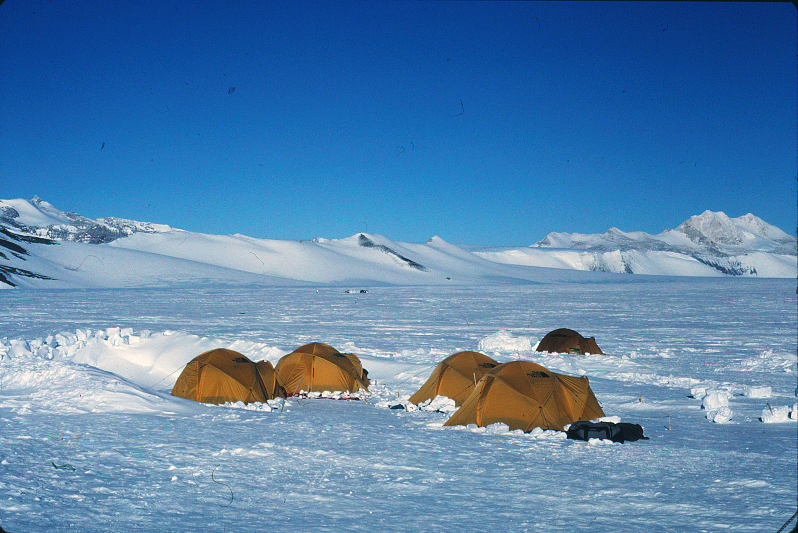 Image for Focus: Polar Studies