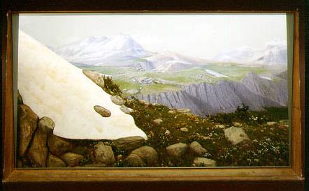 Alpine meadow diorama, details.
Credit Information:
© 1990 The Field Museum
ID# B83440c
Photographer John Weinstein