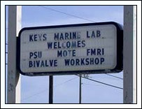Image for International Marine Bivalve Workshop