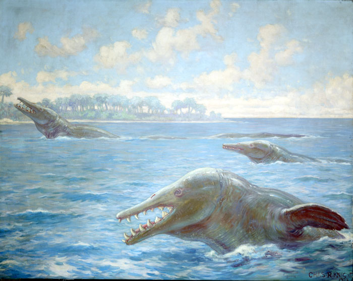 In this Charles Knight mural, three basilosauruses swim at the surface of the sea.