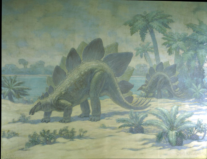Two stegosauruses walk near a water source, with palm trees and ferns dotting their surroundings.