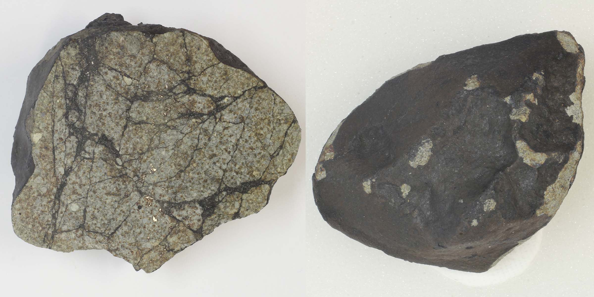Two images, one showing the outside of a rock and the other showing the cross section, which is speckled tan, black and gold