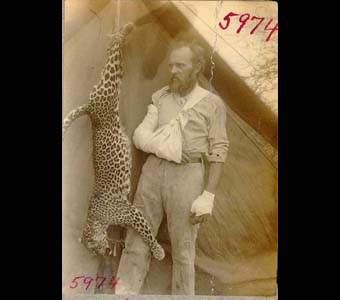 Carl Akeley with bandaged arm and dead leopard that he killed with his bare hands. 1896.Credit Information: © The Field Museum ID# CSZ5974Photographer Carl Akeley