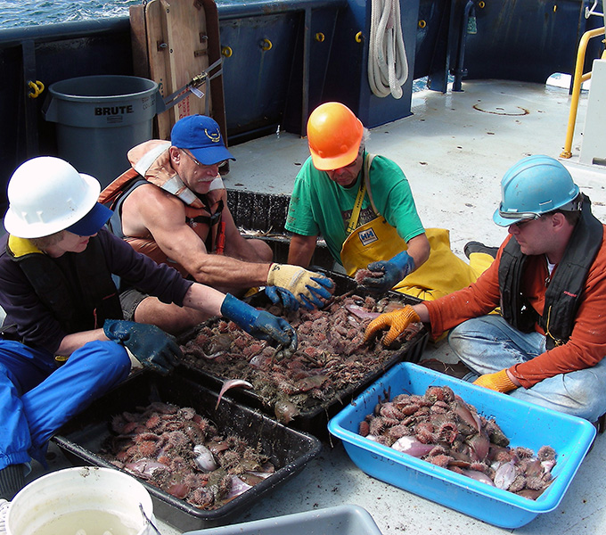 Janet Voight, Kevin Swagel, Chris Jones, and Leo Smith sorting the bottom trawl, which contained mostly flatfishes and sea urchins.