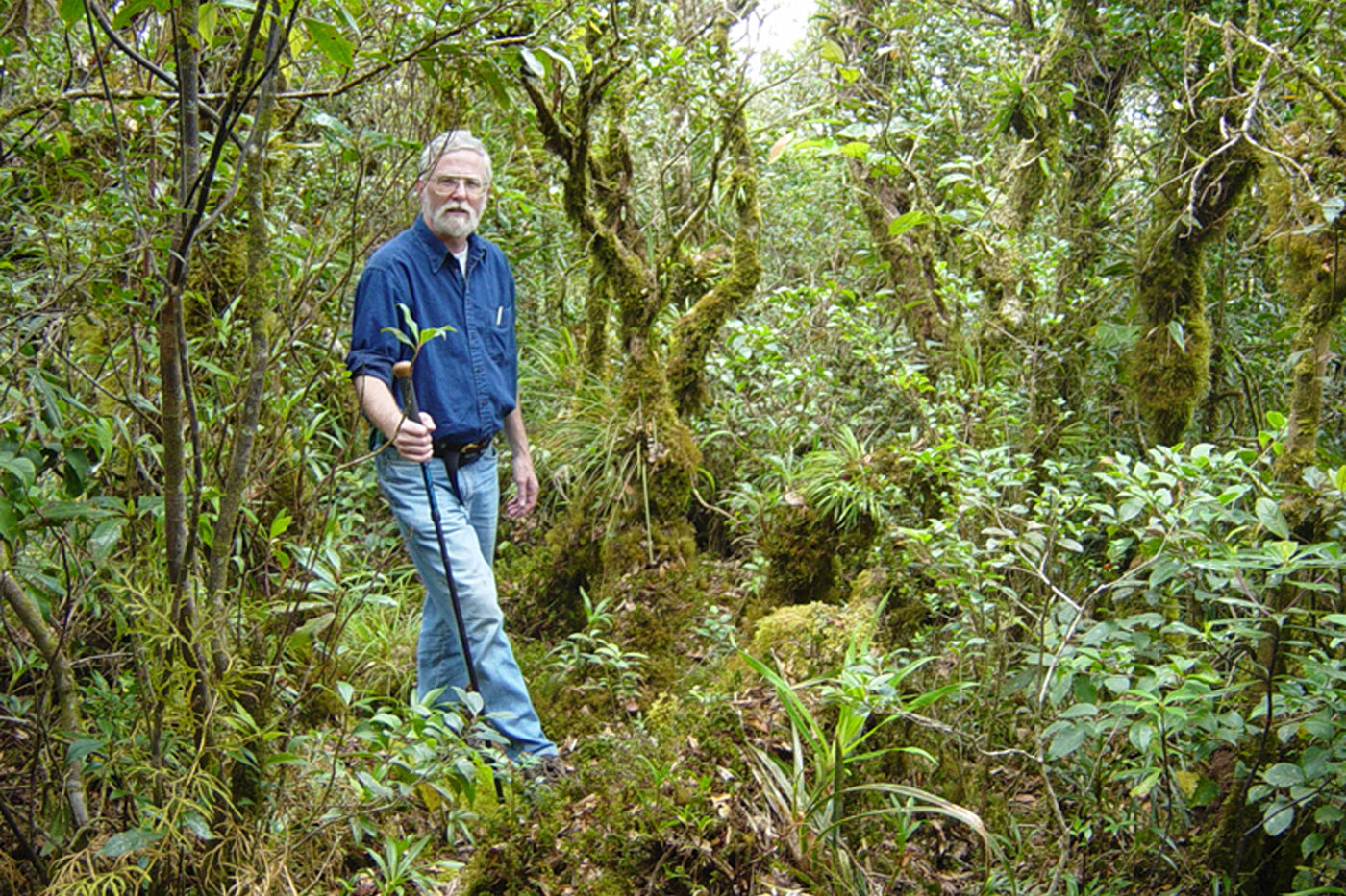 A man stands in the middle of a tropical forest, with bright green plants and mosses surrounding him. He holds a walking stick and poses for the camera.