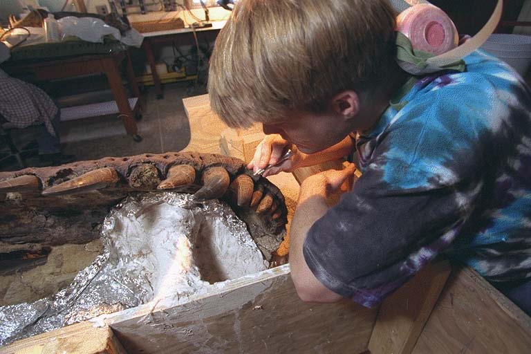 Paul Brinkman and Sue T. rex skull preparation progress. Work in 3rd floor Geology Department prep lab.Credit Information:© 1999 The Field MuseumID# GN89085_34cPhotographer: John Weinstein