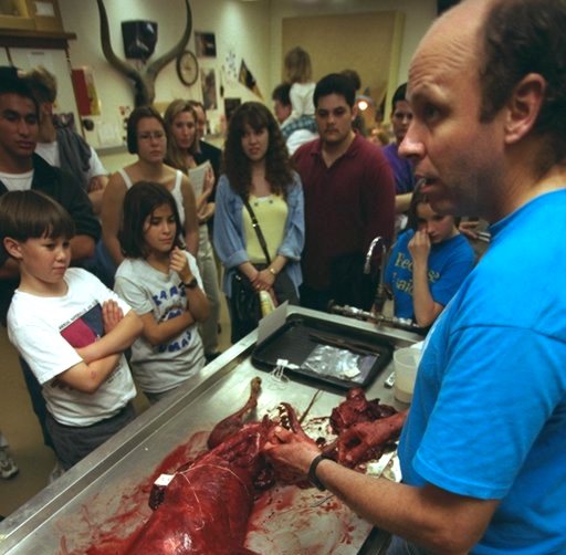 Members’ Night 1999, in the Mammals/Birds prep lab. Field Museum photo by John Weinstein. GN89274_30A