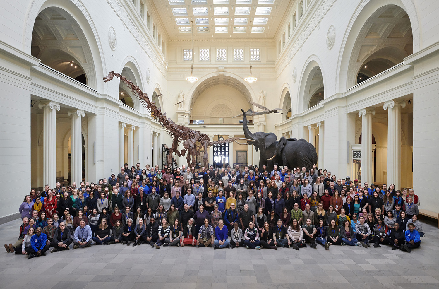 Field Museum staff pose for a group photo in Stanley Field Hall, standing in front of Maximo the Titanosaur and taxidermied African elephants.