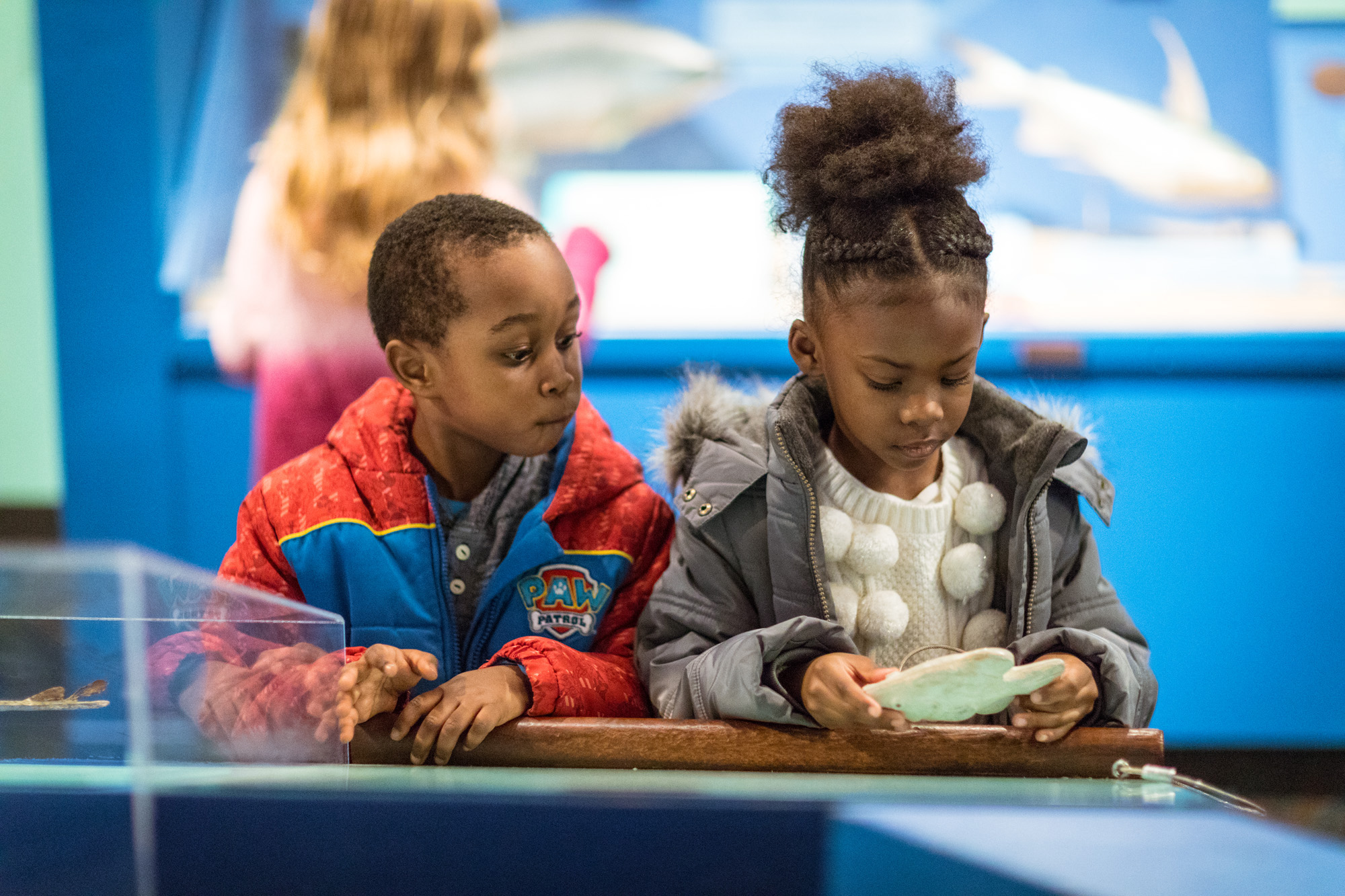 Two children play with objects in an exhibition. A young girl on the right inspects the replica fossil that she holds with both of her hands. The young boy to her left looks over her shoulder to also wonder at the object.