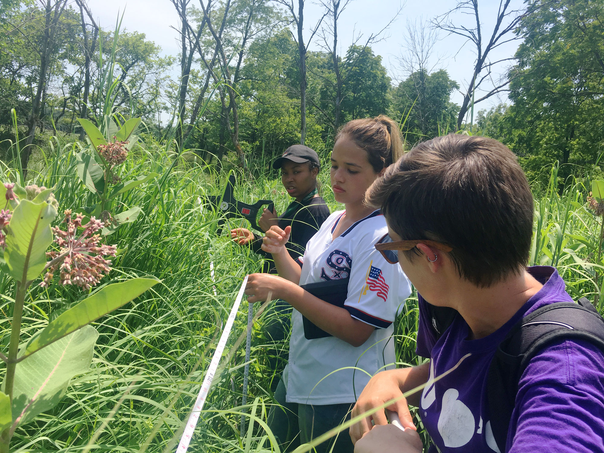 Three young people stand in the middle of a tall grassy field and pull a tape measure across a section.