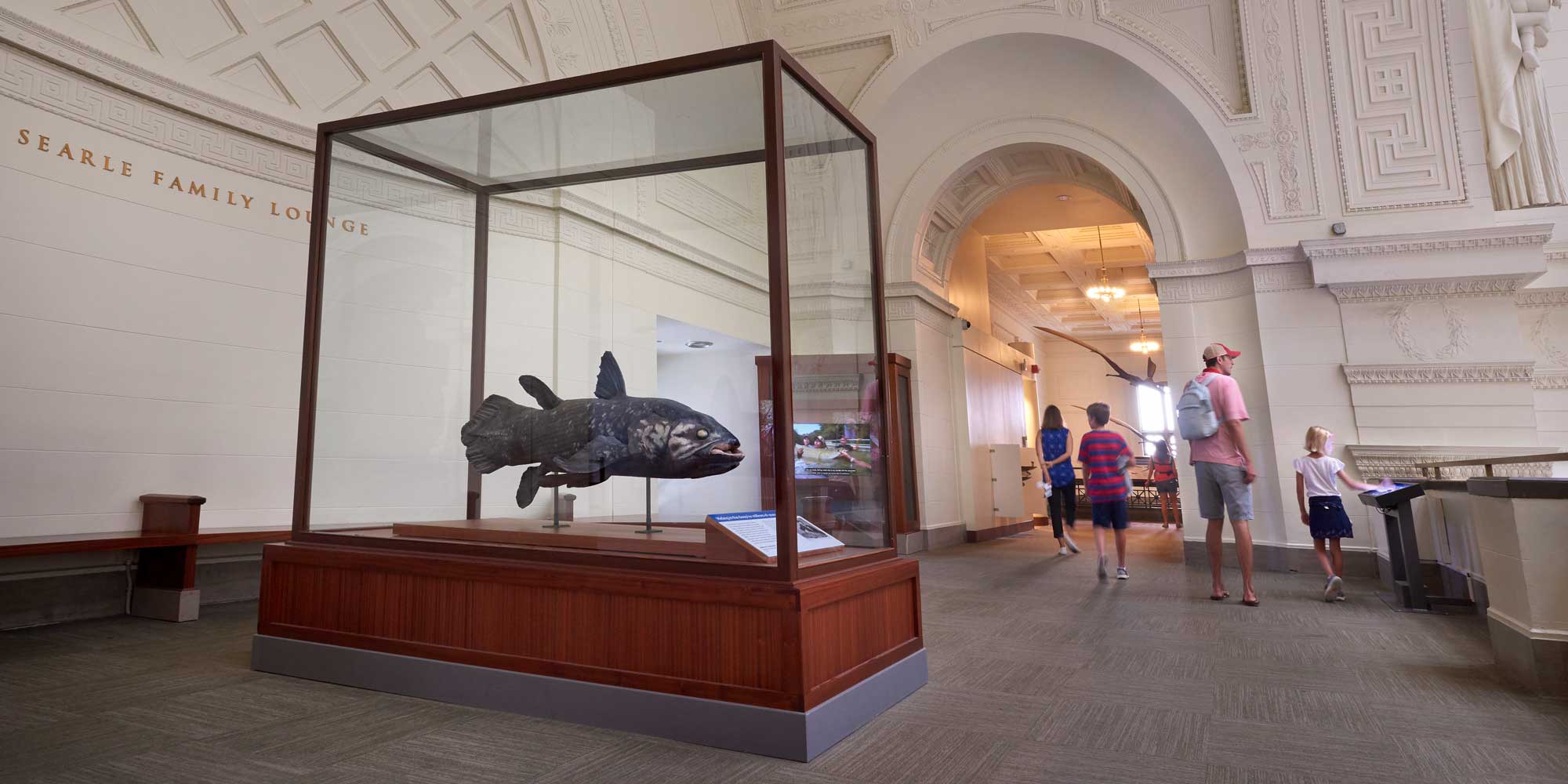 A large fish model in a display case in the Searle Family Lounge. The balcony is framed with neoclassical arches and visitors stop to look at a digital rail.