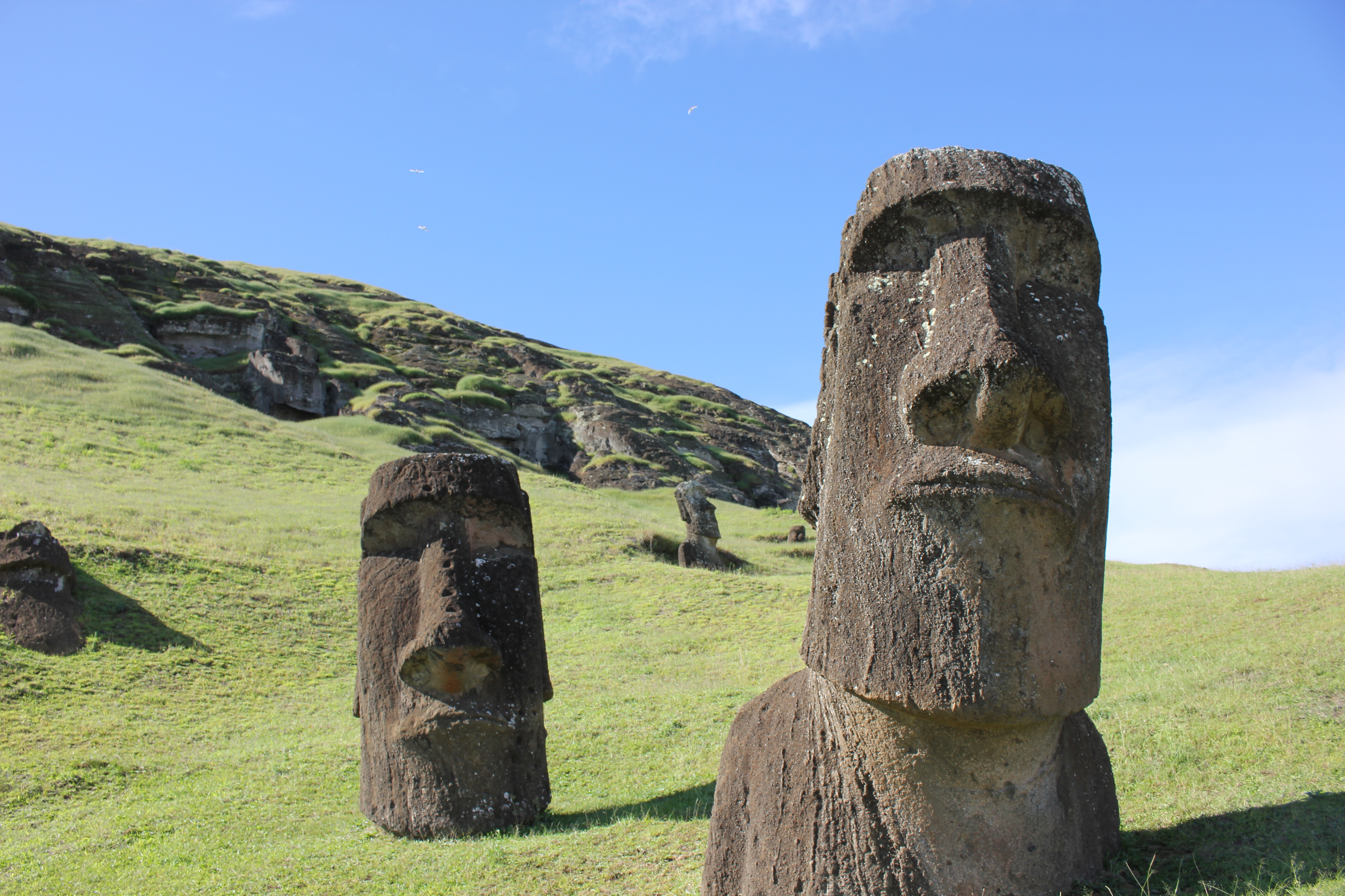 Image for Easter Island’s society might not have collapsed