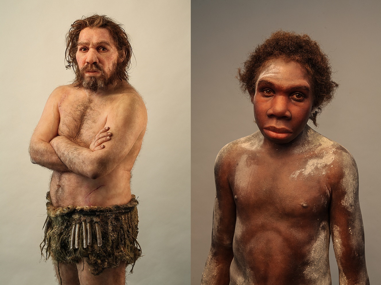 Bringing Neanderthals to Life: Sculptures of Elisabeth Daynès - Field Museum
