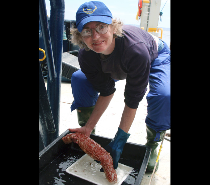 Janet Voight holding up one of the many species of Sea Cucumbers we brought up from the sea floor.