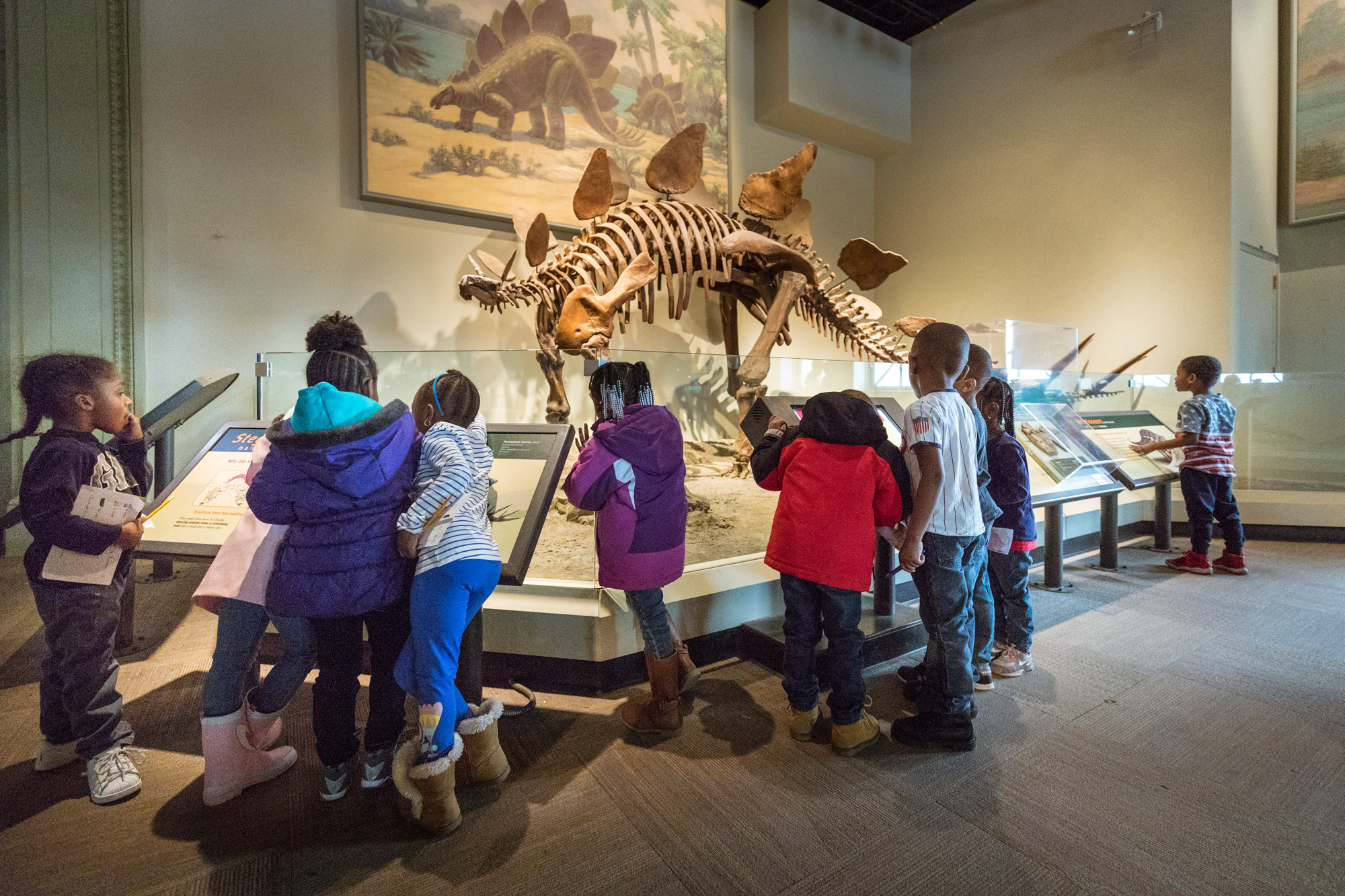 A group of young students gather around a stegosaurus fossil to read panels and look closely at the specimen. A mural of a stegosaurus hangs behind the fossil.