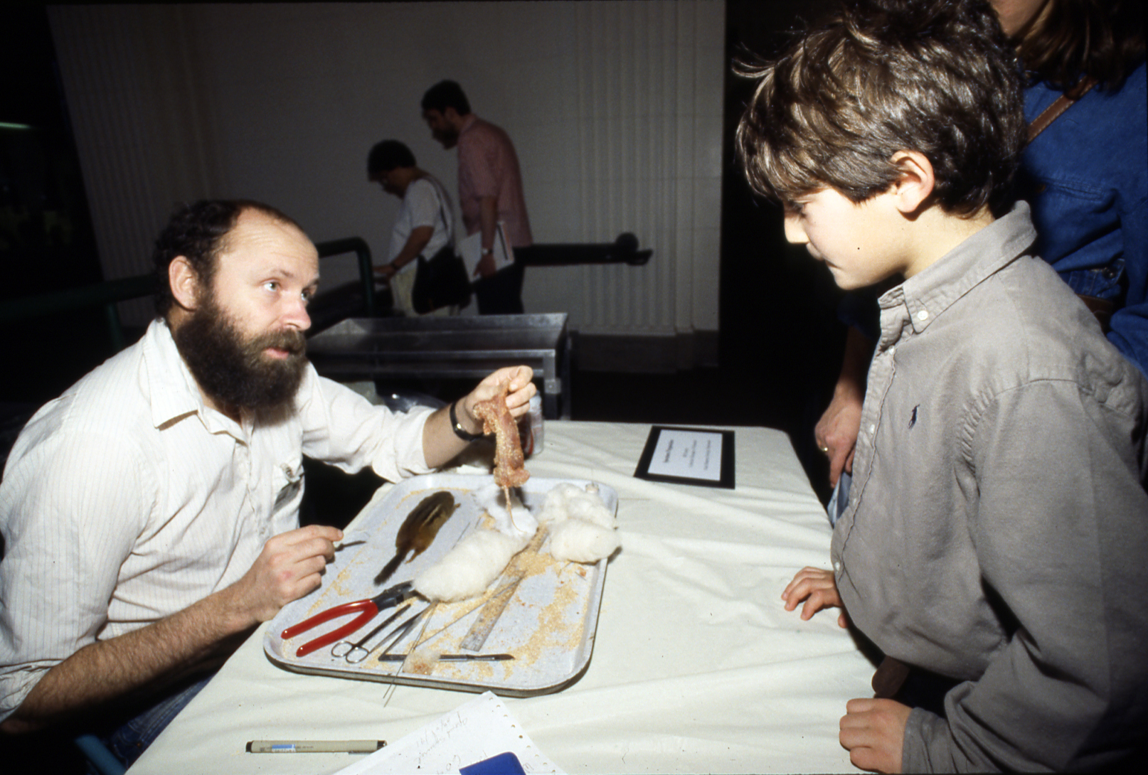 Bill gives visitors an up-close look at mammal preparation as part of a public program called “Nature Works” in 1991. Field Museum photo by James Balodimas. GN85769_7c