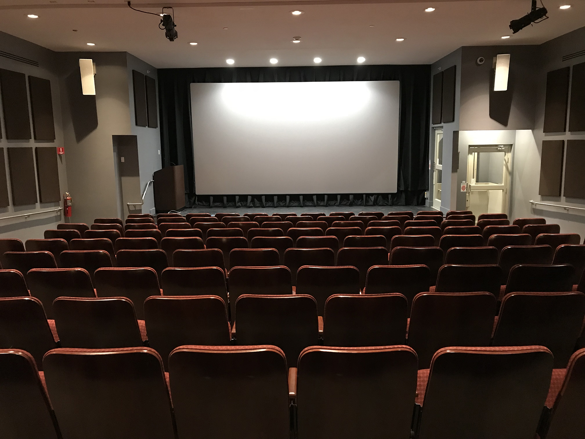 View of Ward Lecture Hall taken from the back of the space. Rows of seats face the stage, where a large screen hangs from the back wall.