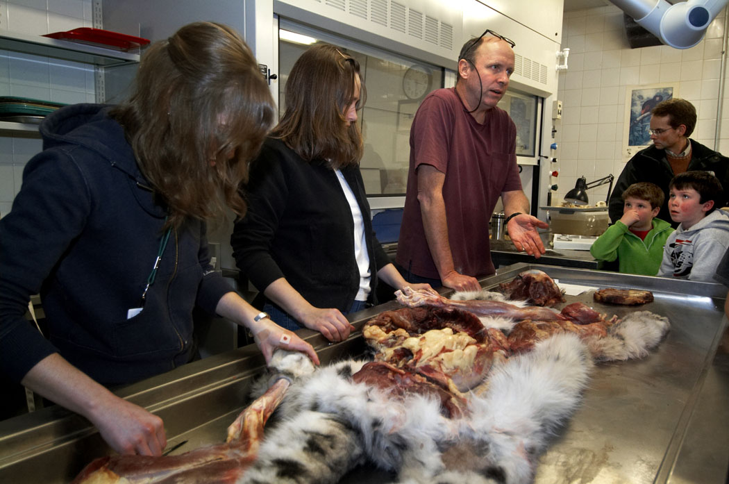 Members’ Night in the new Mammals prep lab, in the Collections Resource Center, 2007. Field Museum photo by Karen Bean. GN90995_259d