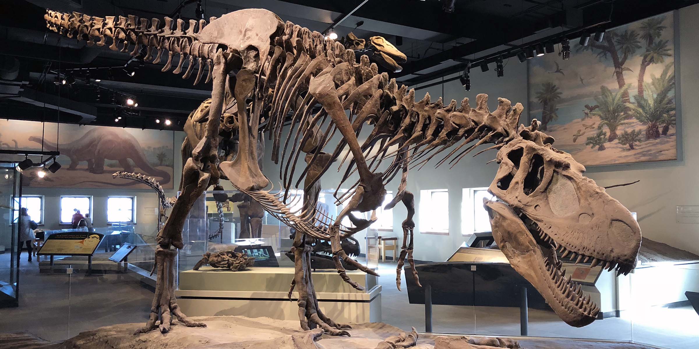 SUE T. rex - Field Museum