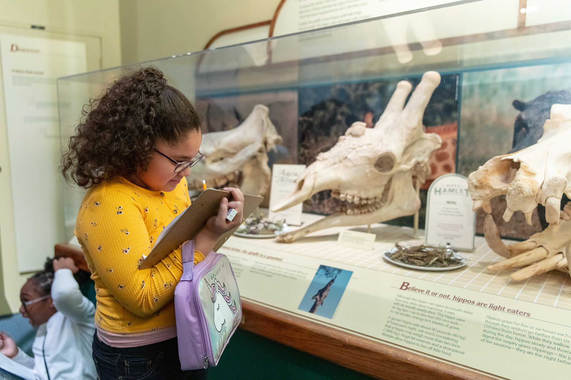 A young girl stands in front of a glass case writing notes on a clipboard. Inside the case is set of three skulls. The girl is wearing glasses and a yellow seater.
