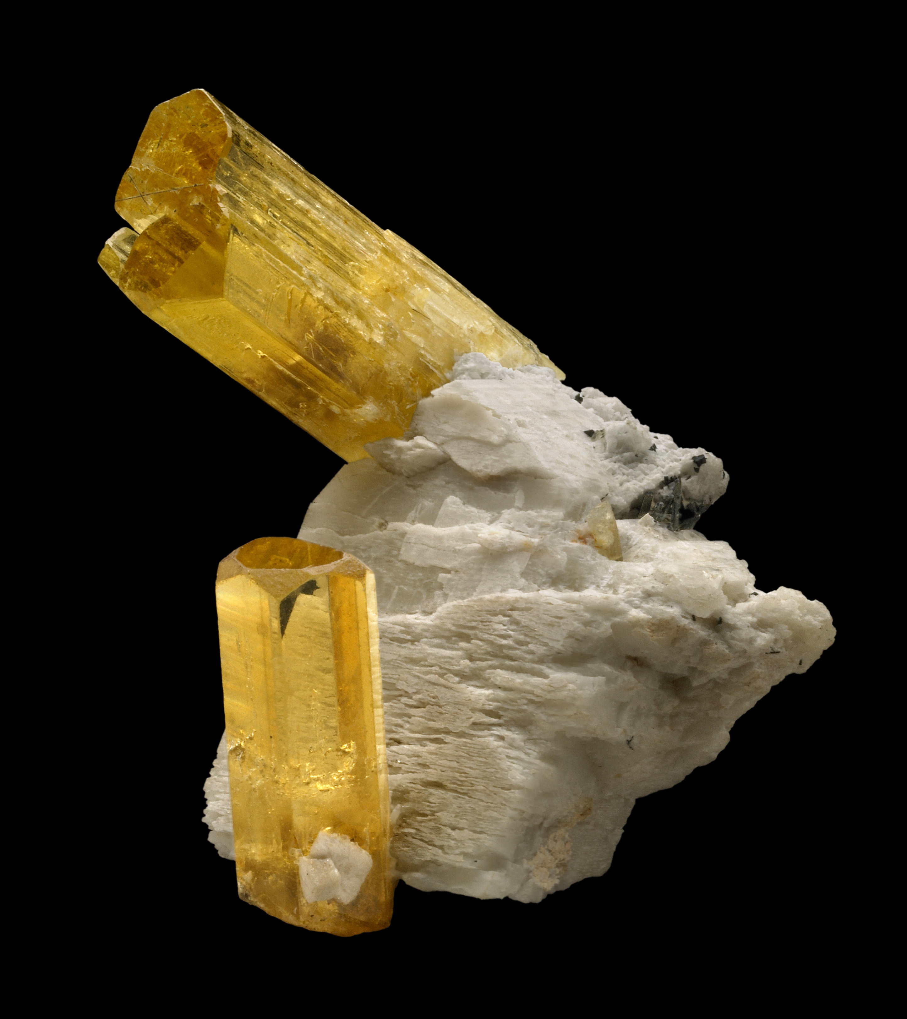 Two gold-colored natural crystals of heliodor projecting from a Feldspar matrix.