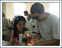 Trainees André Sartori and Cheewarat Printrakoon dissecting venerid bivalves in the laboratory.