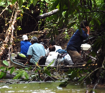In September of 2009, the advance team went into the field to cut trails and establish the two campsites. We did not use helicopters; instead we traveled to the Maijuna lands in boats along the Napo River, transferred gear and people to a flotilla of dugout canoes (peque-peques) to travel up the Yanayacu River, and then carried equipment on foot along more than 18 kilometers of trail.
Navigating the shallow upper reaches of the Yanayacu River in dugout canoes. A. del Campo.