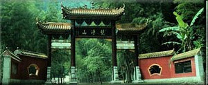 Image for Comparative Studies on the Macrofungi of China and Eastern North America