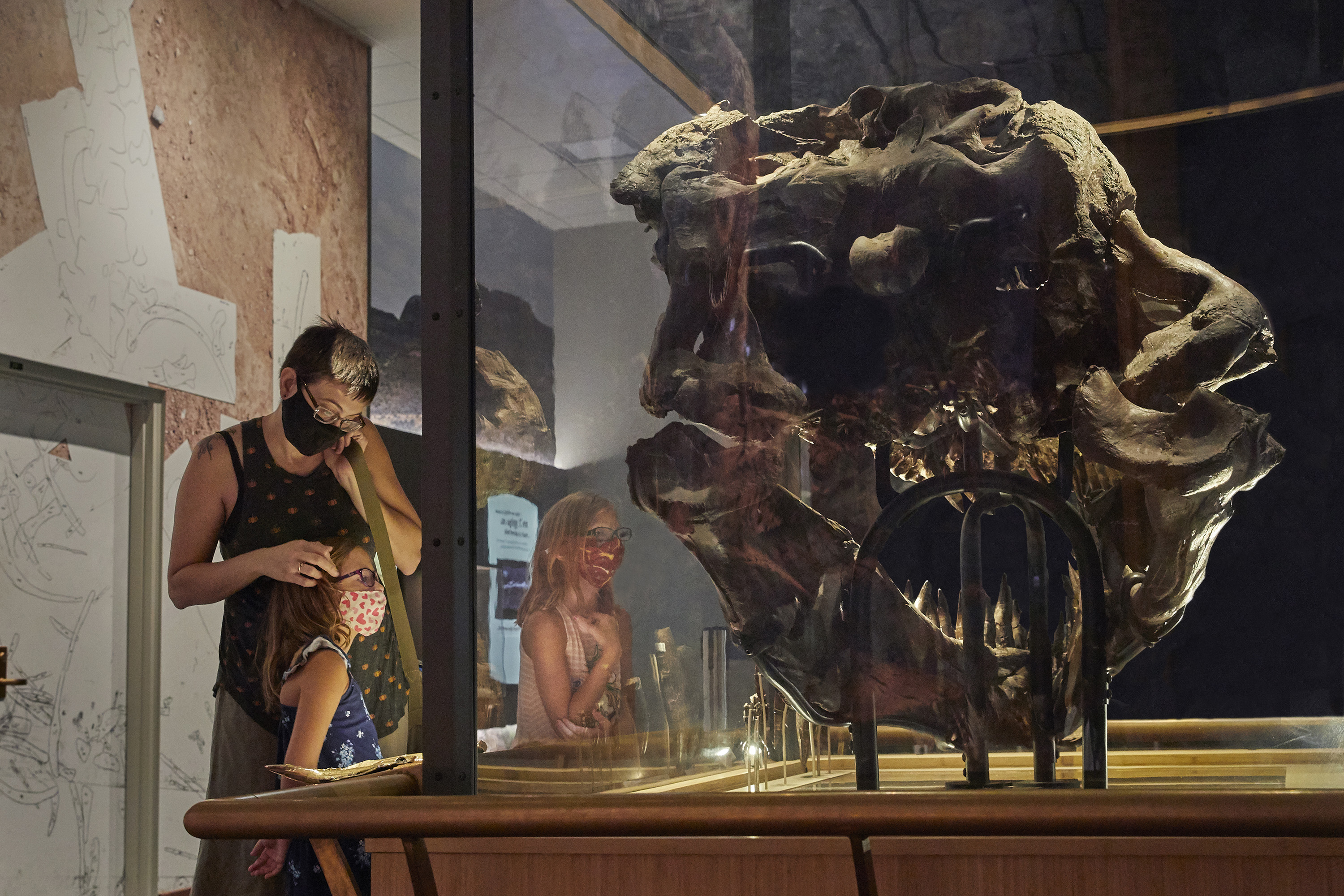 An adult and to young children wearing masks look at the skull of SUE the T. rex.