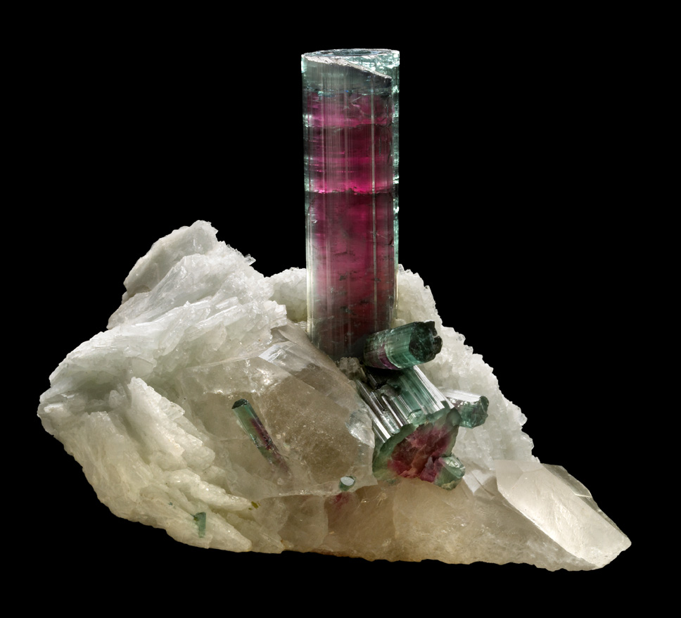 Image for Focus: Gems and Minerals - Research
