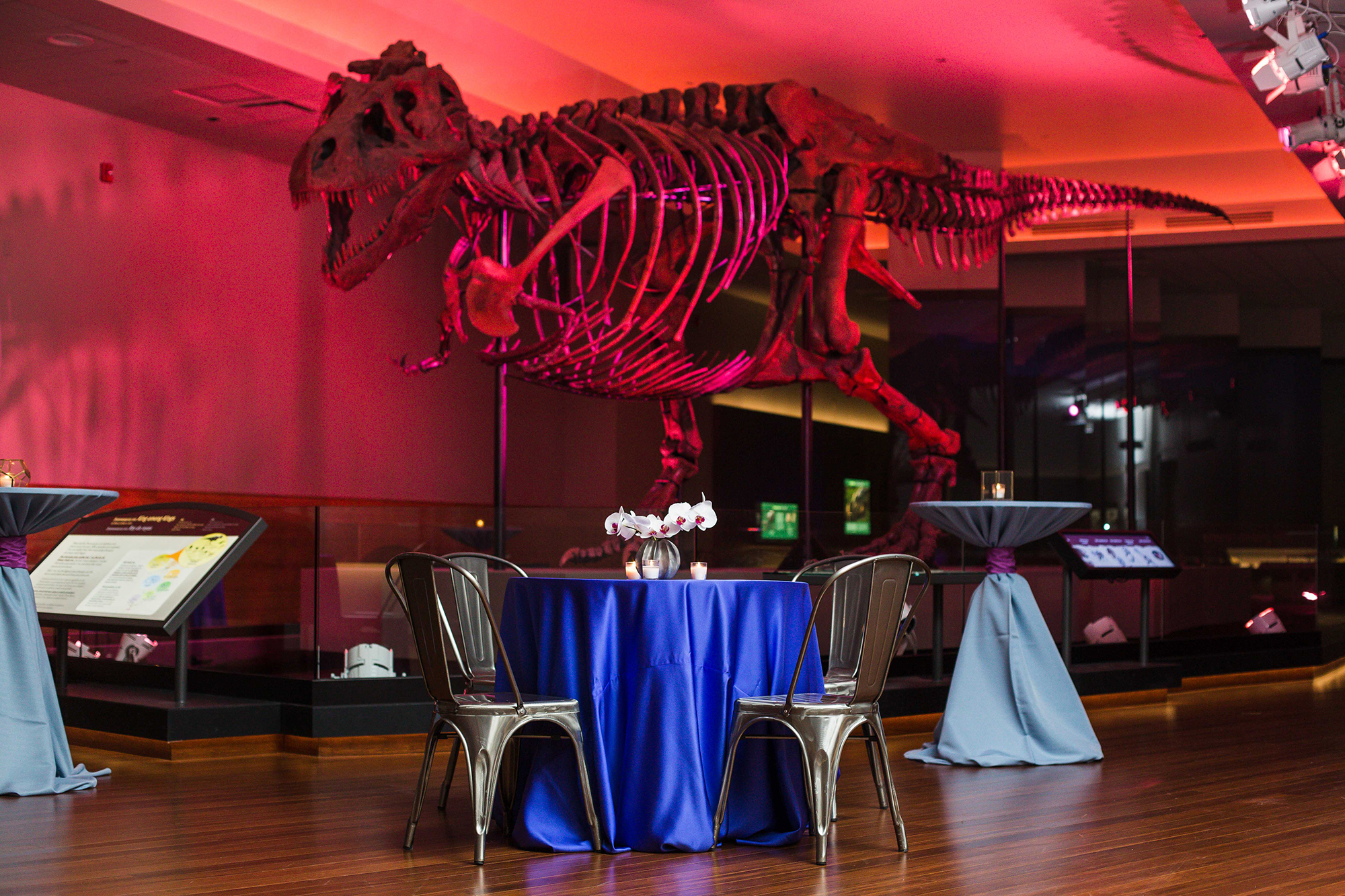 A table is set for two in SUE's gallery. The table features two chairs, a blue table cloth, and floral center piece. SUE's fossil, illuminated by red lights overhead, is visible in the background.