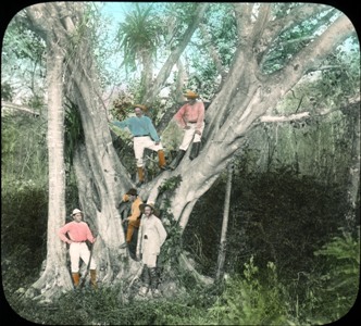 Field Museum Botany curator Charles Millspaugh at top right. Also includes Edward P. Allen, Edward S. Isham Jr., Jordan L. Mott Jr. Taken on the Allison V. Armour Expedition circa 1899. Made from a hand-colored lantern slide. Credit information: ID# CSB4170c.
For more photos of the Armour Botany expedition, see our set on Flickr