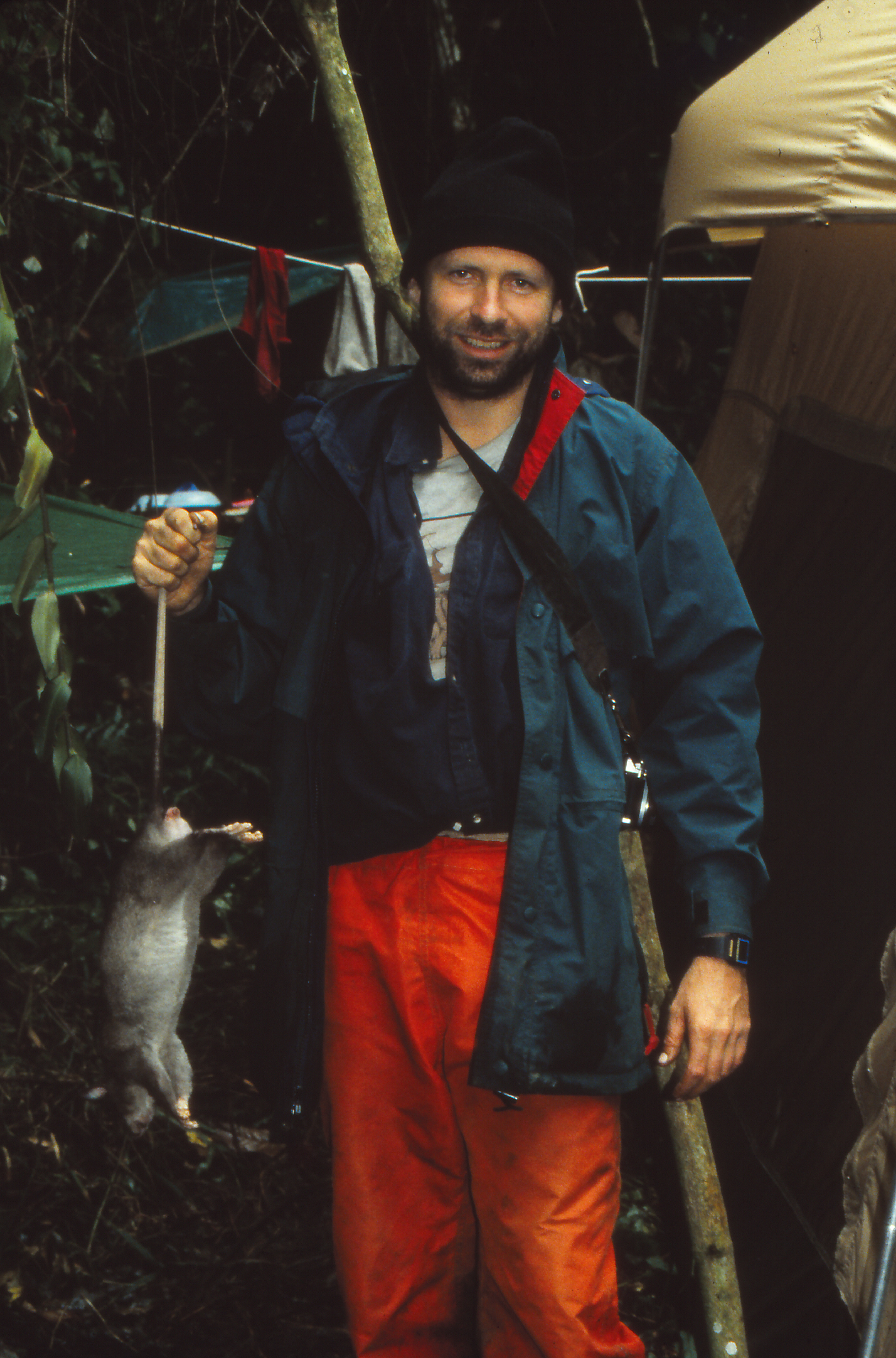Another picture from the 1990 field trip to the Rwenzori Mountains, with a giant mountain rat. Courtesy of Tom Gnoske.