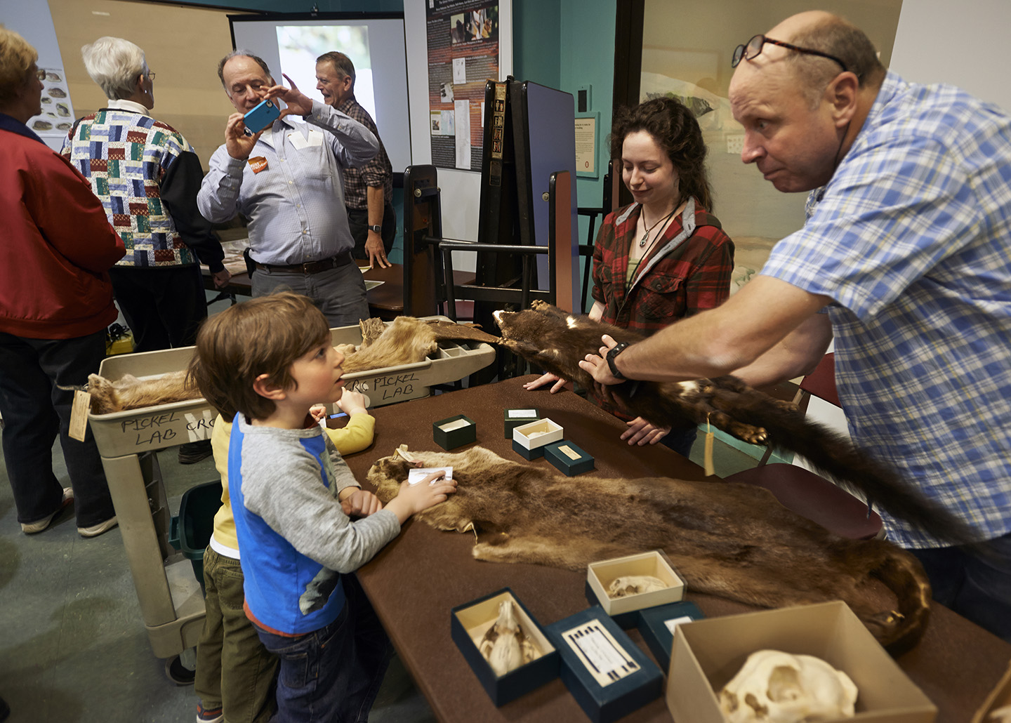 Bill left the dissection to others at Members’ Night 2014 (moved to the Sea Mammals exhibit). Field Museum photo by John Weinstein. GN91947_162d