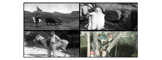 A composite image of four photos from past museum expeditions.