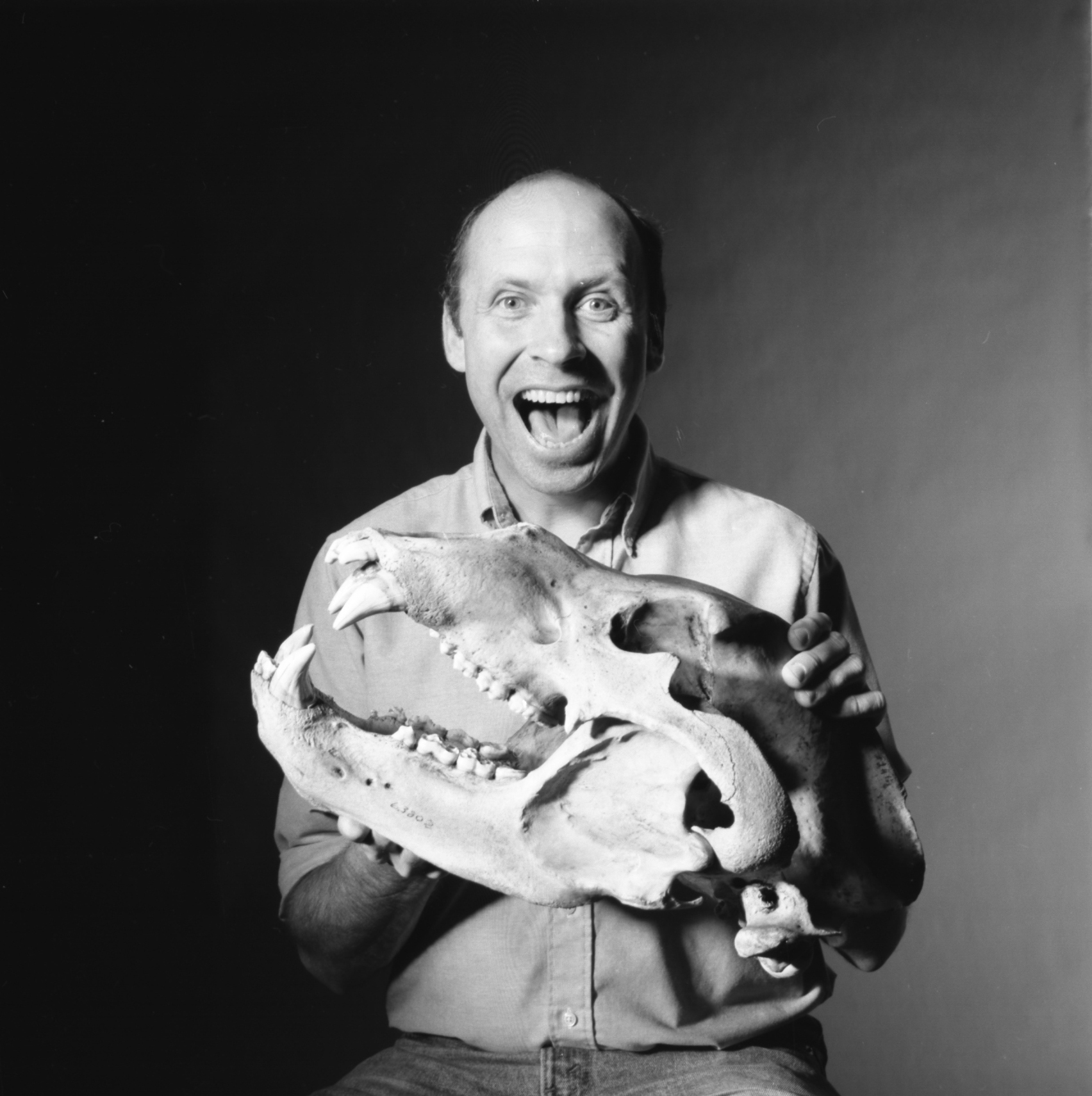 Bill is obviously elated to be holding the skull of a bear from the Mammals Collection in 1996. Field Museum photo by John Weinstein. GN87766_3