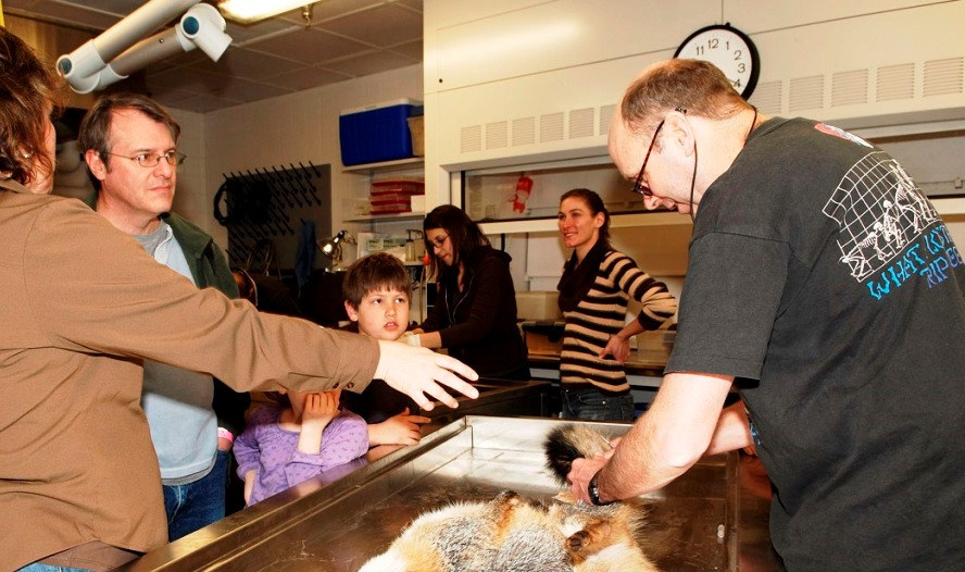 Members’ Night in the Mammals prep lab, 2009. Field Museum photo by Karen Bean. GN91218_033d