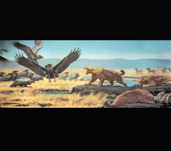 A Charles Knight mural of a prehistoric scene at the Rancho La Brea tar pits, in which saber-toothed cats defend their prey against scavenging, vulture-like birds with prehistoric horses in the background.