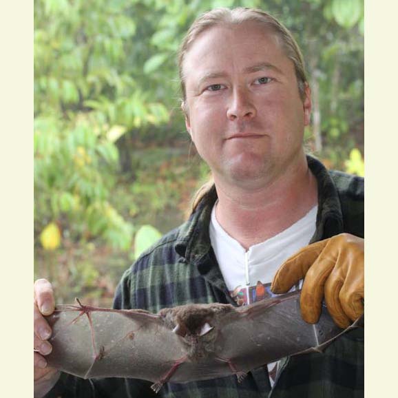 Carl Dick holding a Peters'Woolly False Vampire, Chrotopterus auritus