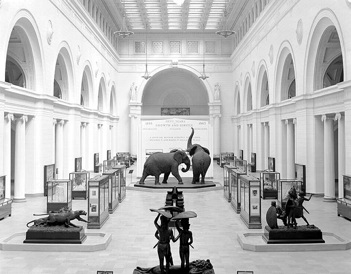 50th Anniversary Exhibits in Stanley Field Hall including Lenses on Nature exhibit, Elephants, and Carl Akeley's Lion Spearing Bronze sculptures. 1943.Credit Information: © The Field MuseumID# GN78517Photographer unknown