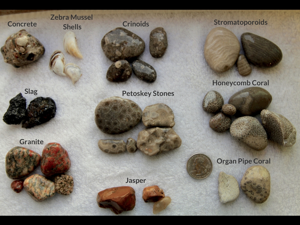 Various rocks sorted out by type on a piece of white pastic