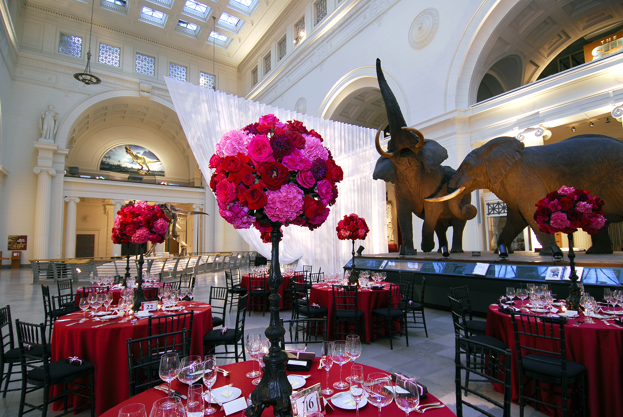 Circular tables covered with red table cloths and pink and red floral arrangements are set up in Stanley Field Hall. The taxidermied African elephants are visible beyond the tables.
