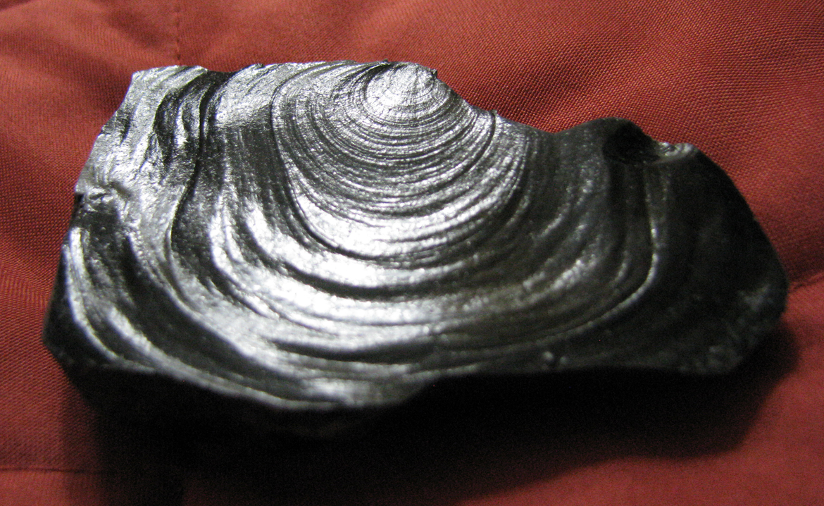 Image for North American Obsidian