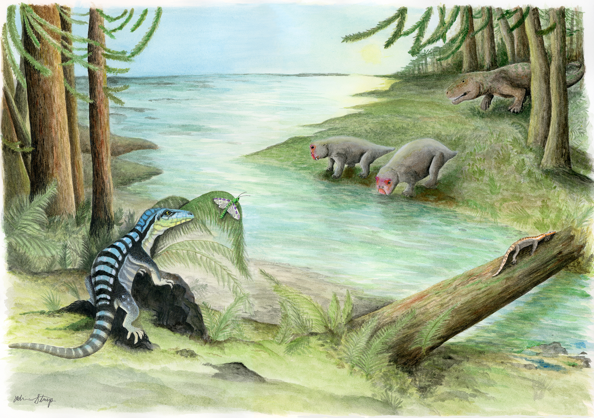 Image for Iguana-sized dinosaur cousin discovered in Antarctica