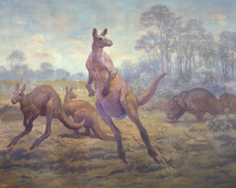 Three prehistoric kangaroos, two hopping forward over a grassy field, one looking back towards two giant prehistoric wombats. Tall trees fill the distance.