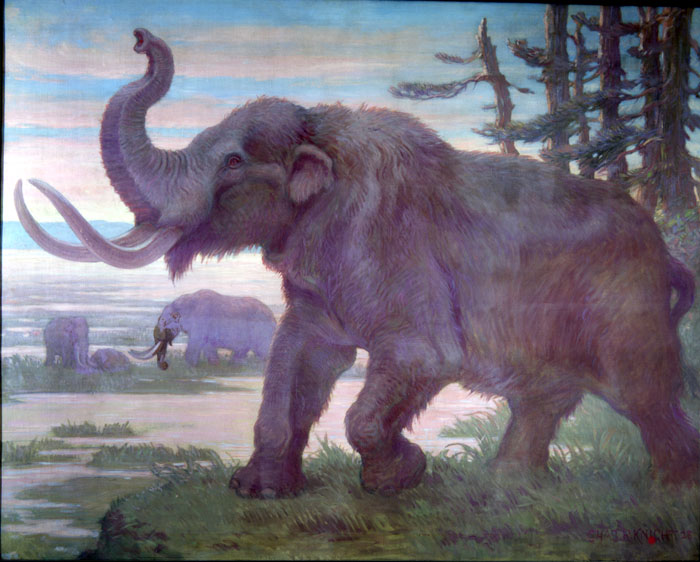 An American Mastodon, with it's trunk raised, dominates the foreground, while two others wander the landscape in the distance.
