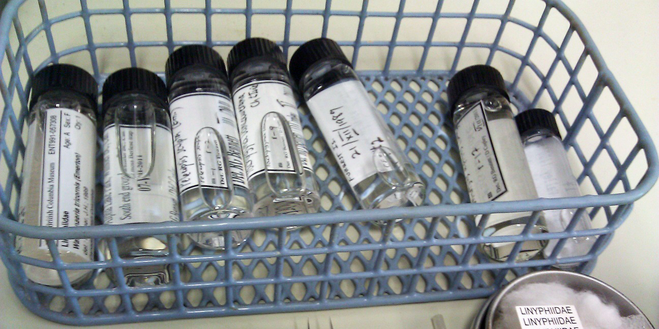 Vials from the RBCM loan