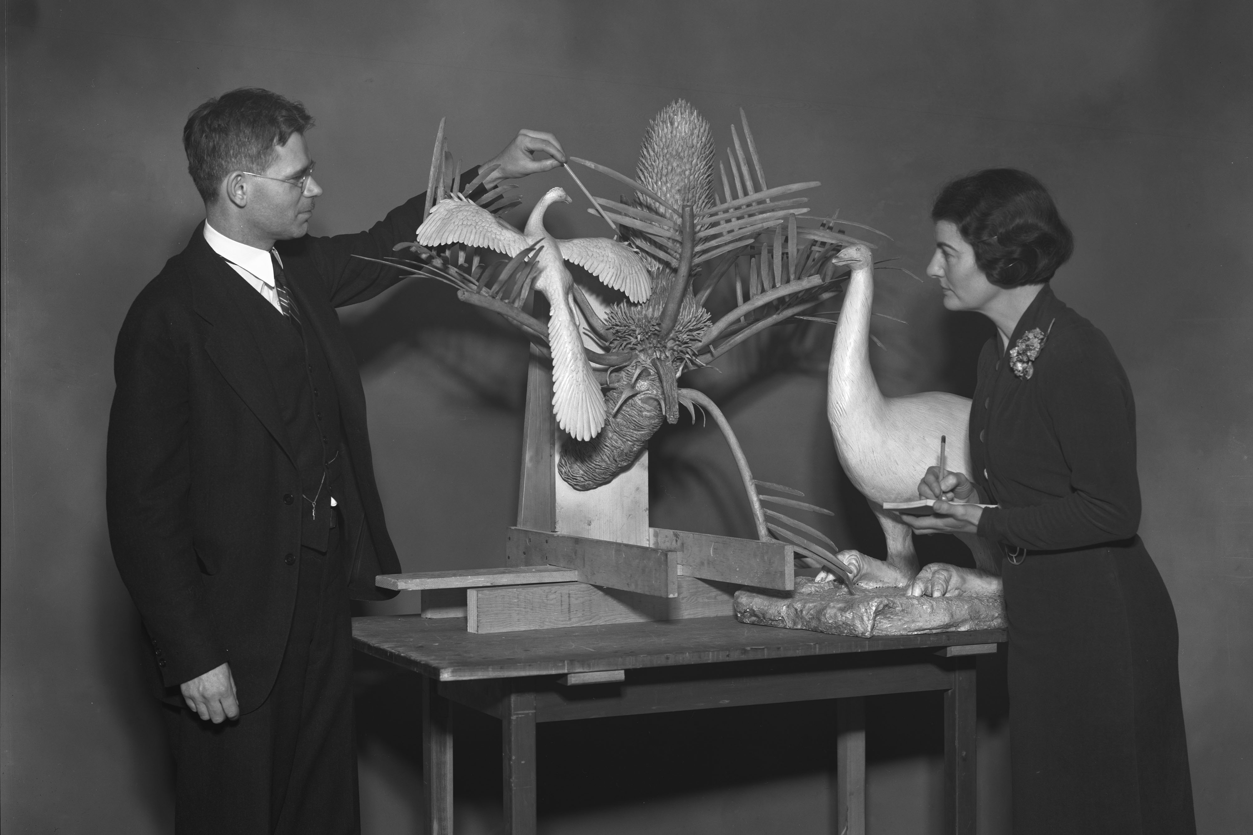In a black-and-white photo, a man and a woman look at a model of a bird perched on a tropical-looking plant. The man uses a pencil to point at a detail, while the women writes something on a notepad. Their clothing reflects the time period of late 1930s.